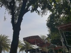 -白城沙滩