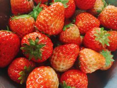 -红宝石·鲜奶小方·海派西点房(肇嘉浜店)