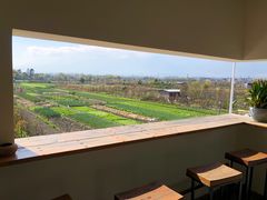 -翠田Green Field Kitchen
