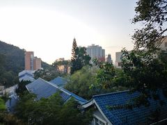-香港大学