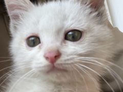 -小意思咖啡店(草桥店)