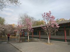 -丰台花园