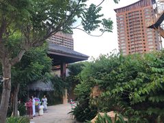 -亚马逊丛林水乐园