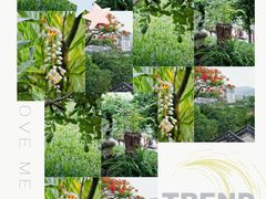 -广州神农草堂中医药博物馆