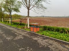 -东丽湖风景区