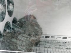 -宠颐生动物医院·心脏科·保险定点(锦阳分院)