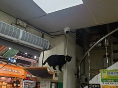 -大三巴饼家(大三巴街店)