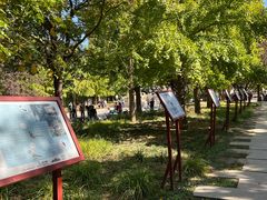 -元大都城垣遗址公园