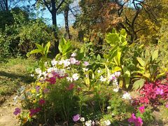 -北京植物园南门售票处