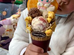 -哈根达斯(武汉天地店)