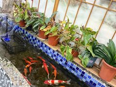 -上尚汤汤泉汗蒸(空港复悦里店)