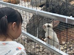 -龙谷湾旅游休闲度假区