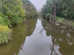-上海滨江森林公园