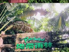 -青青世界