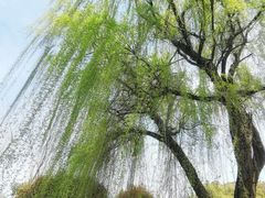 -澹台湖公园