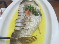 -鲁宴·鲁煨黄河生态大鲤鱼(月坛店)