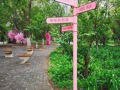 -长白岛森林公园