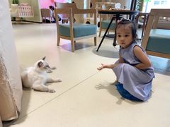 -藏猫猫咖啡主题馆(中央大道店)