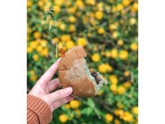 艾叶红豆米包-RiceZone乐食尊纯米面包坊(望京店)