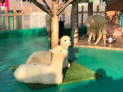 -七彩云南欢乐世界