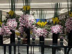 -南海渔村(珠江新城店)