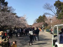 -青岛中山公园-索道售票处