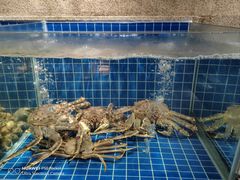 -新荣记(西溪湿地店)