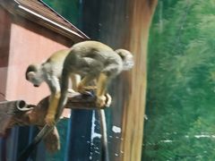 -华夏文旅西安度假区