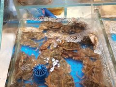 -加餐海鲜自助(集美银泰百货店)