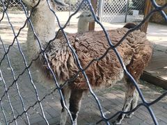 -长白岛森林公园