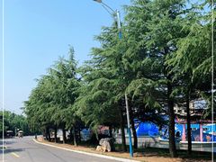 -日照海滨国家森林公园