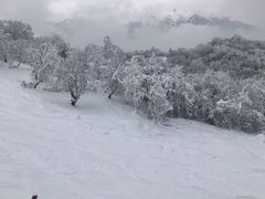 -太子岭滑雪场