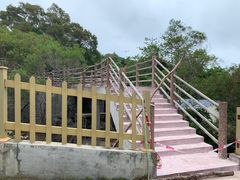 -广东惠东海龟国家级自然保护区