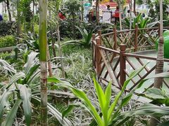 -南宫五洲植物乐园