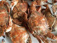 -张会海鲜饭店(东戴河店)
