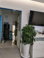 -康谛尔健康管理机构