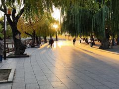 -长春市南湖公园