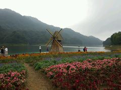 -广州市石门国家森林公园