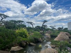 -罗红摄影艺术馆