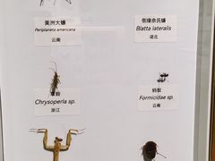 -中国湿地博物馆