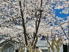 -IKEA宜家家居(南京商场)