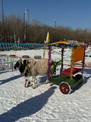 -268童话露营农场·烧烤·团建