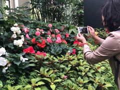 -墨尔本皇家植物园