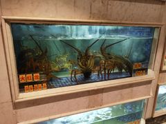 水产区-顺峰(农展馆店)