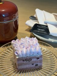 -圣贝拉母婴护理中心(广州瑰丽店)