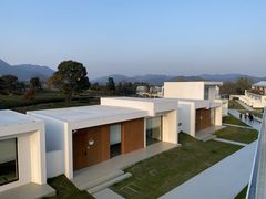 -龙坞茶村