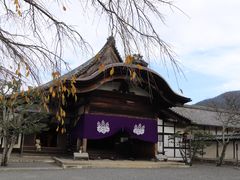 -醍醐寺