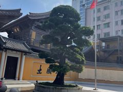 -白衣古寺素斋堂