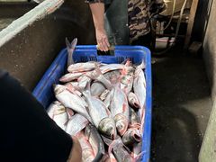 -老杨砂锅鱼庄