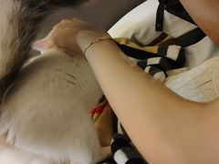 -澜悦汇推拿足道(蓝村路店)